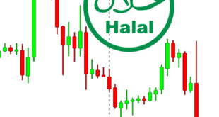 Trading Forex Halal MUI