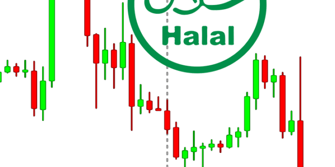 Trading Forex Halal MUI