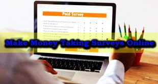 Make Money Taking Surveys Online - Business Ideas